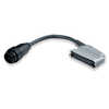 Câble pour flashs Elinchrom Câble adaptateur torche standard/Ranger - ELI11095