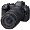 photo Canon EOS R6 II + 100-400mm