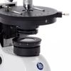 Accessoires microscopes Euromex Kit de polarisation pour la série BioBlue (AE.5152)