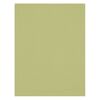 Fonds de studio photo Westcott Toile de fond infroissable X-Drop - Light Moss Green (5' x 7')