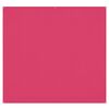 Fonds de studio photo Westcott Toile de fond infroissable X-Drop - Dark Pink (8' x 8')
